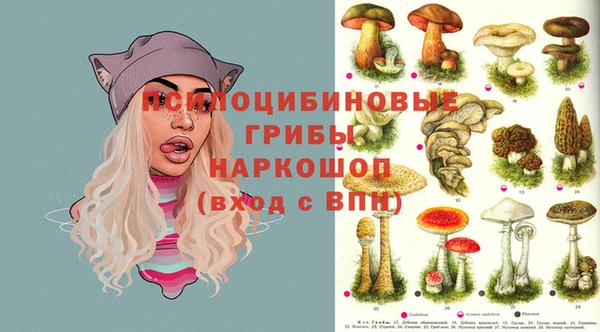 первитин Михайловск