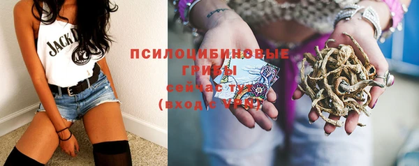 герыч Михайлов
