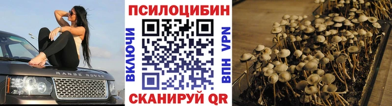 Галлюциногенные грибы GOLDEN TEACHER  где купить наркоту  Островной 
