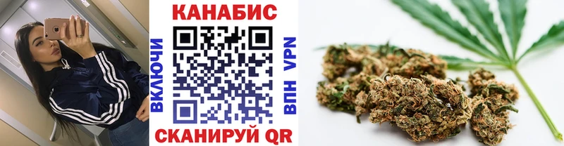 где можно купить   Островной  Шишки марихуана план 